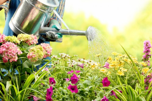 Screen-reader friendly website content for Chingford tree surgeons