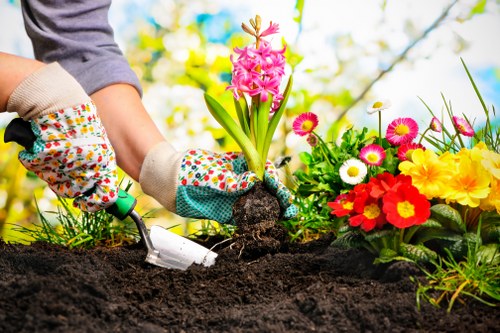 Accepted payment methods for tree care services